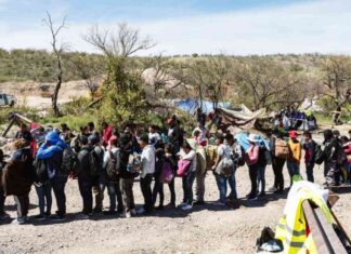 Legislation Proposed to Provide $1K Reward for Reporting Illegal Immigrants legislation-proposed-to-provide-1k-reward-for-reporting-llegal-mmigrants