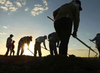 Imperial County Abandoned by Democrats and Republicans: An Opinion mperial-county-abandoned-by-democrats-and-republicans-an-opinion