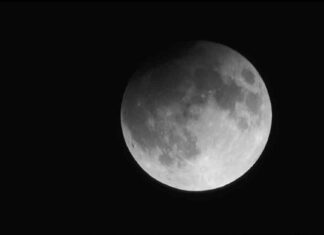 Creating a Biorepository on the Moon: University of Minnesota Scientists Involved news-02122024-221249