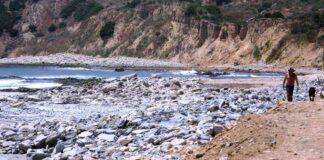 nvestigation-launched-after-hiker-discovers-decomposed-body-on-california-cliff