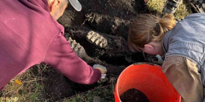 rare-mastodon-jaw-unearthed-in-new-york-backyard-a-remarkable-find
