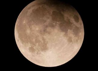 ‘Return Visit Expected in 2055: Earth’s Farewell to ‘Mini Moon’ Asteroid’ return-visit-expected-in-2055-earths-farewell-to-mini-moon-asteroid