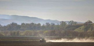 rising-cases-of-valley-fever-in-california-what-you-need-to-know