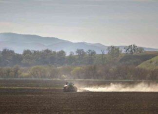 Rising Cases of Valley Fever in California: What You Need to Know rising-cases-of-valley-fever-in-california-what-you-need-to-know
