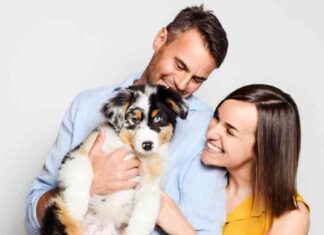 Top 10 Holiday Gift Ideas for Dog Parents top-10-holiday-gift-deas-for-dog-parents