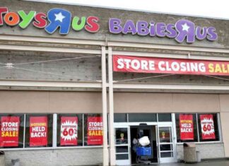 Toys ‘R’ Us Brand Revival in Progress: What to Expect | CNN Business toys-r-us-brand-revival-in-progress-what-to-expect-cnn-business