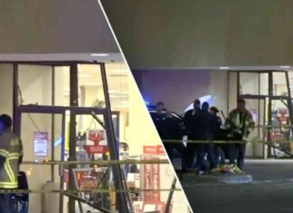 Truck Driver Shot and Killed After Crashing Into Texas Mall, Leaving 5 Injured: Police Update truck-driver-shot-and-killed-after-crashing-nto-texas-mall-leaving-5-njured-police-update