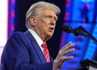 Trump Nominates Somers Farkas and John Arrigo as Ambassadors trump-nominates-somers-farkas-and-john-arrigo-as-ambassadors