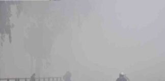 uttar-pradesh-records-coldest-winter-in-two-decades-resulting-in-one-fatality