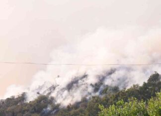 16 Confirmed Dead in Ongoing Battle Against LA Fires: Live Updates 16-confirmed-dead-in-ongoing-battle-against-la-fires-live-updates