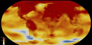 2024-hottest-year-on-record-nasa-and-noaa-confirmation