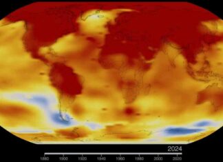 2024 Hottest Year on Record: NASA and NOAA Confirmation 2024-hottest-year-on-record-nasa-and-noaa-confirmation