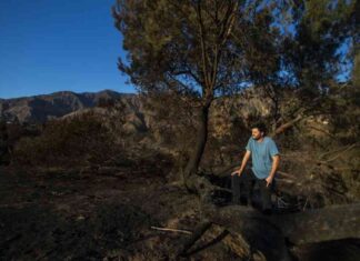 Altadena Weather Enthusiast Saves Lives During Eaton Fire altadena-weather-enthusiast-saves-lives-during-eaton-fire