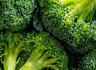 Bagged Walmart Broccoli Recall: Listeria Contamination in 20 States bagged-walmart-broccoli-recall-listeria-contamination-in-20-states