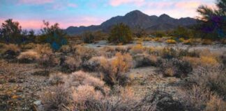 biden-creates-two-california-national-monuments-for-tribal-lands