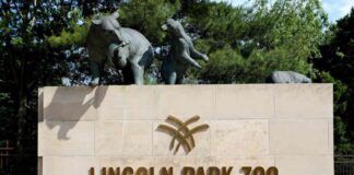 bird-flu-outbreak-claims-lives-of-flamingo-and-seal-at-lincoln-park-zoo