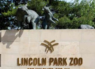 Bird Flu Outbreak Claims Lives of Flamingo and Seal at Lincoln Park Zoo bird-flu-outbreak-claims-lives-of-flamingo-and-seal-at-lincoln-park-zoo