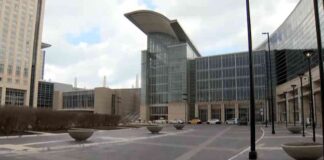 bird-strike-prevention-measures-lead-to-significant-decrease-in-collisions-at-mccormick-place