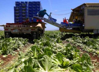 California Labor Laws in 2025: Enhanced Worker Protections Guide california-labor-laws-in-2025-enhanced-worker-protections-guide