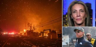 california-mom-urges-newsom-to-clean-up-wildfire-response-nterview-nsights
