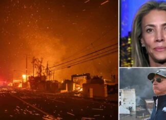 California Mom Urges Newsom to Clean Up Wildfire Response: Interview Insights california-mom-urges-newsom-to-clean-up-wildfire-response-nterview-nsights