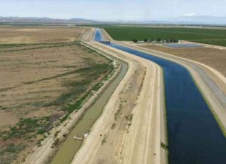 California Water Wars: Trump’s Reentry and Uncertain Outcome california-water-wars-trumps-reentry-and-uncertain-outcome