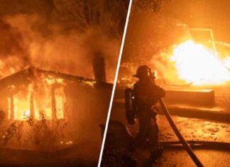 California Wildfires: Interactive Map and Updates on Los Angeles and Pacific Palisades Fires california-wildfires-nteractive-map-and-updates-on-los-angeles-and-pacific-palisades-fires