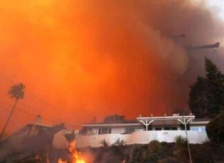 California’s FAIR Plan Faces Possible Bailout Following L.A. Fires californias-far-plan-faces-possible-bailout-following-la-fires