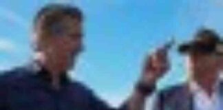 californias-fire-response-mpact-on-politicians-careers