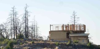 californias-history-of-wildfires-a-cycle-of-destruction-and-reconstruction