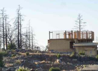 California’s History of Wildfires: A Cycle of Destruction and Reconstruction californias-history-of-wildfires-a-cycle-of-destruction-and-reconstruction