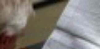 californias-wealth-tax-mpact-of-trumps-deductions-on-salt-wounds