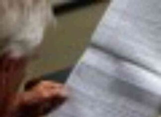 California’s Wealth Tax: Impact of Trump’s Deductions on SALT Wounds californias-wealth-tax-mpact-of-trumps-deductions-on-salt-wounds