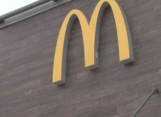 Car Crash at Suburban McDonald’s Results in Injuries and Damage car-crash-at-suburban-mcdonalds-results-in-njuries-and-damage