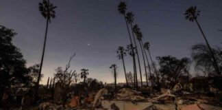 chicago-residents-unite-for-wildfire-relief-how-you-can-help