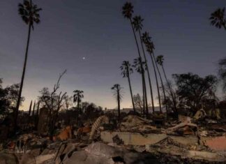 Chicago Residents Unite for Wildfire Relief: How You Can Help chicago-residents-unite-for-wildfire-relief-how-you-can-help