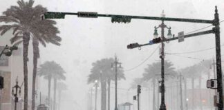 comparing-snowfall-in-florida-new-orleans-and-chicago-whats-the-difference