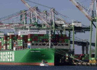 Counterfeit Smuggling Ring: Nine Charged in L.A.-Long Beach Ports counterfeit-smuggling-ring-nine-charged-in-la-long-beach-ports-80-characters