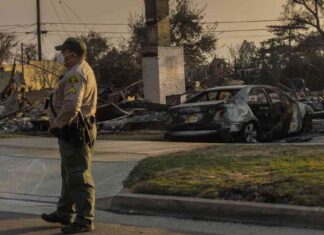 Crack Down on Looting in Fire-Ravaged Areas with L.A. Curfew & National Guard Support crack-down-on-looting-in-fire-ravaged-areas-with-la-curfew-national-guard-support