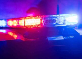 Identifying the Victim: Woman Killed in Head-On Crash in Northern Suburbs dentifying-the-victim-woman-killed-in-head-on-crash-in-northern-suburbs