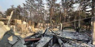devastating-fire-destroys-altadena-couples-two-homes-overnight