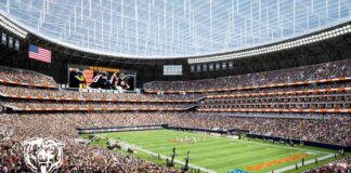 downtown-bears-stadium-construction-team-aims-for-groundbreaking-soon