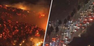 evacuations-ordered-for-hollywood-hills-sunset-fire-safety-alert-updates