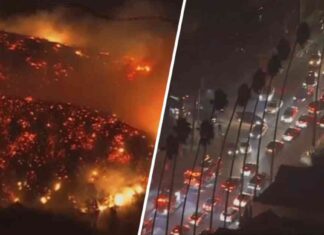Evacuations Ordered for Hollywood Hills Sunset Fire: Safety Alert & Updates evacuations-ordered-for-hollywood-hills-sunset-fire-safety-alert-updates