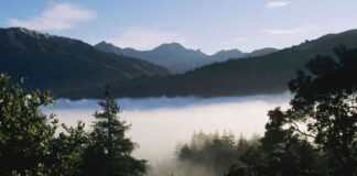 exploring-solitude-and-silence-on-big-sur-cliffs-a-personal-reflection