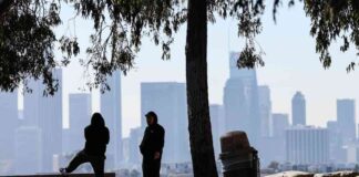 extreme-winter-winds-in-southern-california-fire-and-power-outage-risks