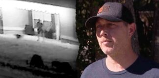 florida-man-defends-dog-from-bear-cub-attack-story-of-bravery-and-survival