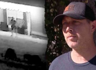 Florida Man Defends Dog from Bear Cub Attack: Story of Bravery and Survival florida-man-defends-dog-from-bear-cub-attack-story-of-bravery-and-survival