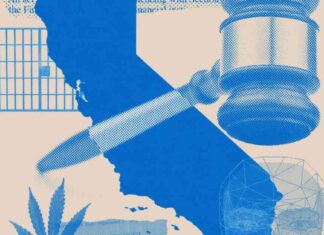 Future Impact of California Laws on Cannabis Cafes, A.I., and Parking in 2025 future-mpact-of-california-laws-on-cannabis-cafes-a-and-parking-in-2025