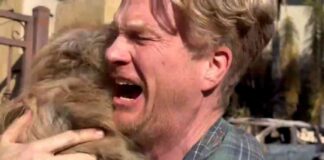 heartwarming-reunion-man-and-pet-dog-reunite-after-palisades-fire-evacuations